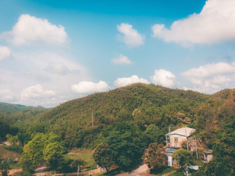 土地产出率